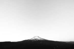 adrian 226109 unsplash