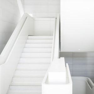 robin spielmann 5913313 unsplash